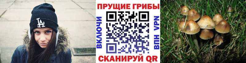 Галлюциногенные грибы ЛСД Заволжск