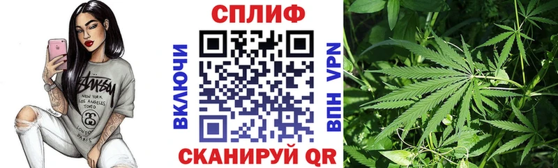 Шишки марихуана тримм закладка Заволжск